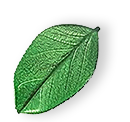 https://greencleanmzug.com/wp-content/uploads/2025/07/floating_leaf_01.png